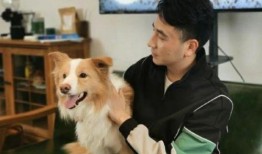 今日林生斌热点爆料,最新爆料揭露惊人真相