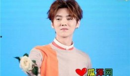 鹿晗新女友爆料视频大全