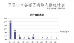 平顶山最新爆料实时疫情,实时数据揭示防控进展与挑战