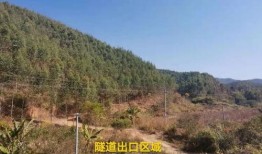 梅州民生820最新爆料,揭秘背后惊人真相！