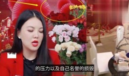 台湾艺人直播爆料视频